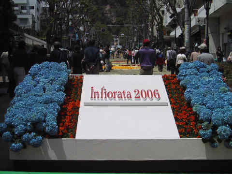 2006infiorata (0).JPG
